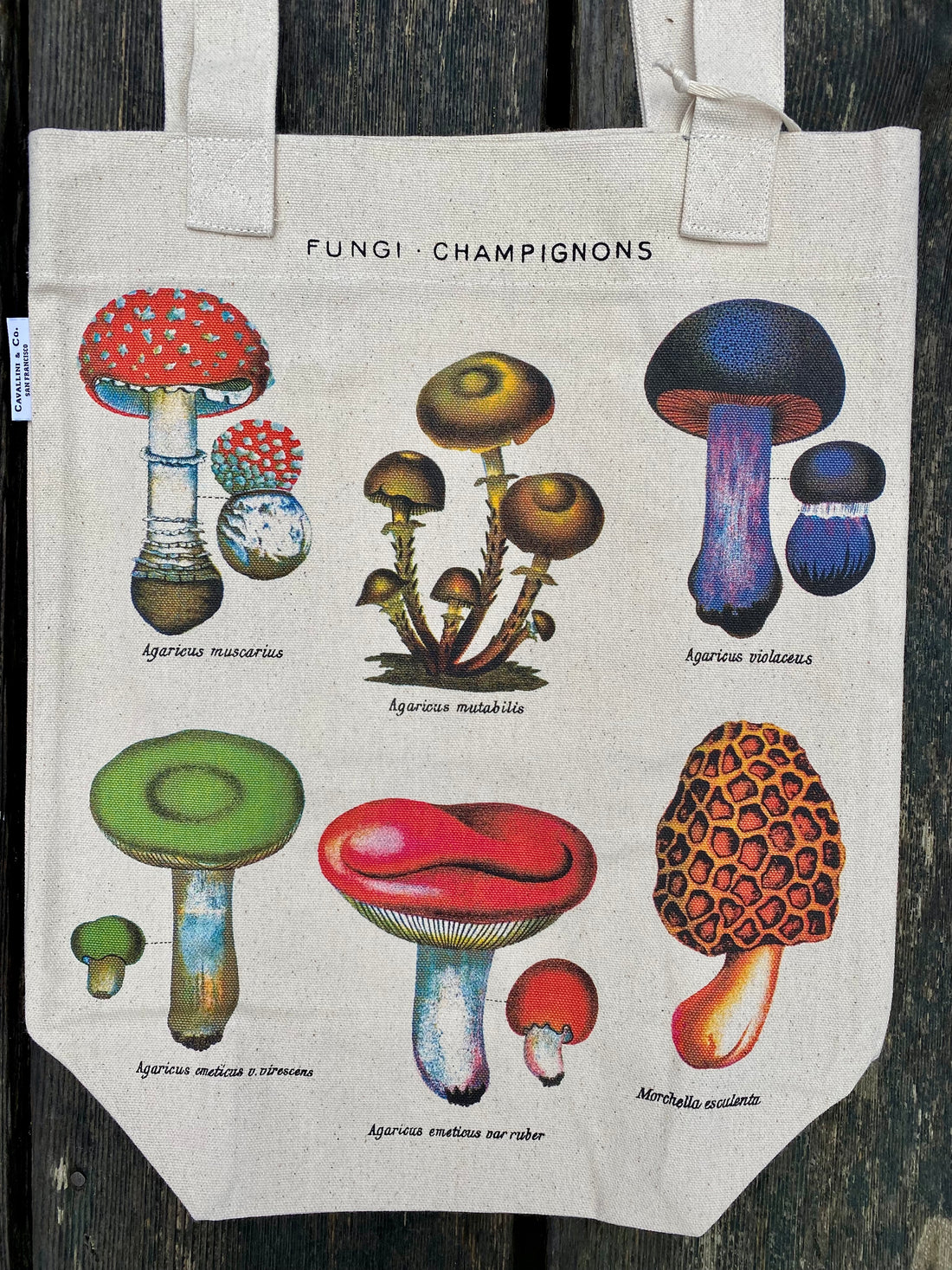 MUSHROOM TOTE BAG