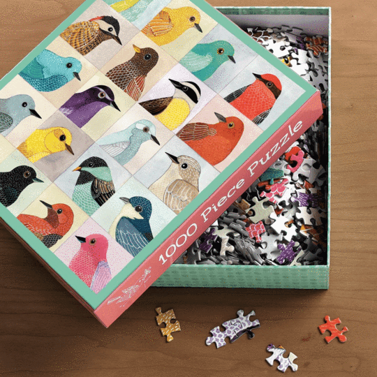 AVIAN FRIENDS 1000 PIECE JIGSAW PUZZLE